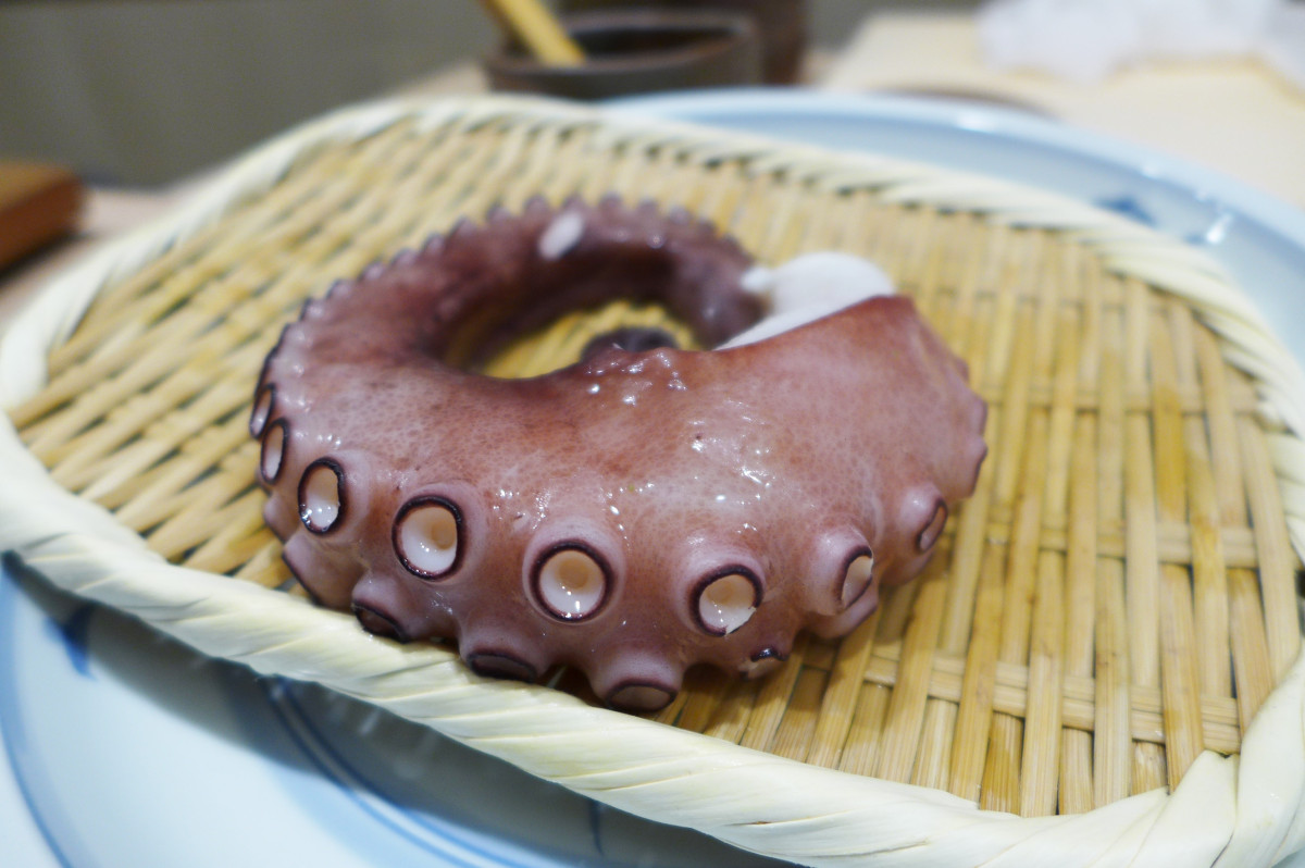 Boiled octopus later sliced into sashimi