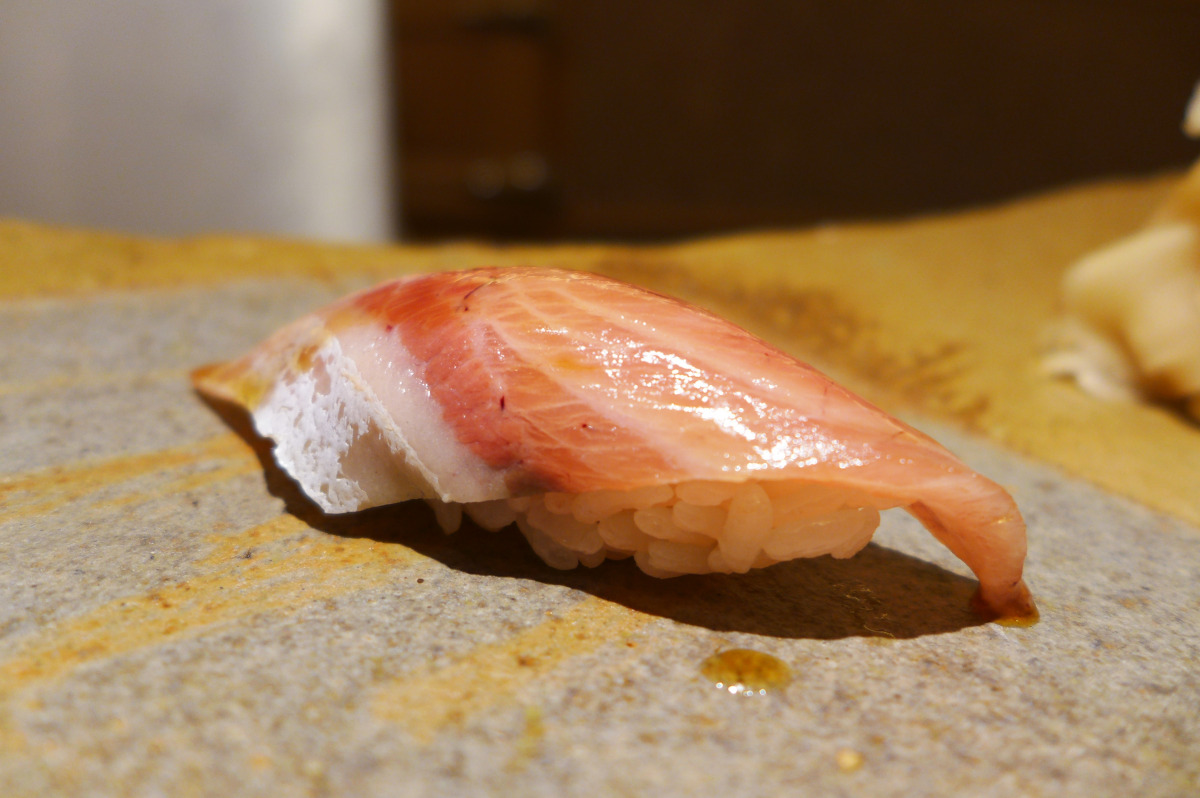 Buri ( Japanese amberjack)