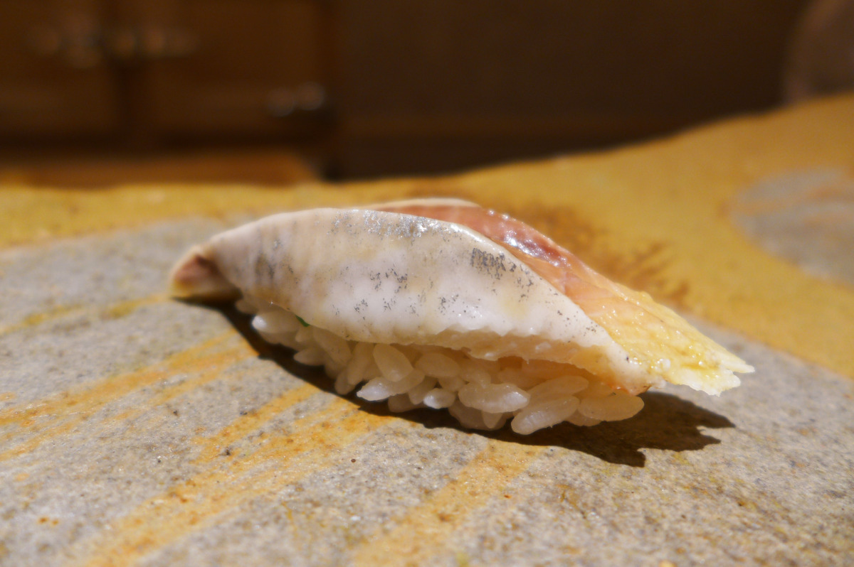 Aji ( Japanese horse mackerel)