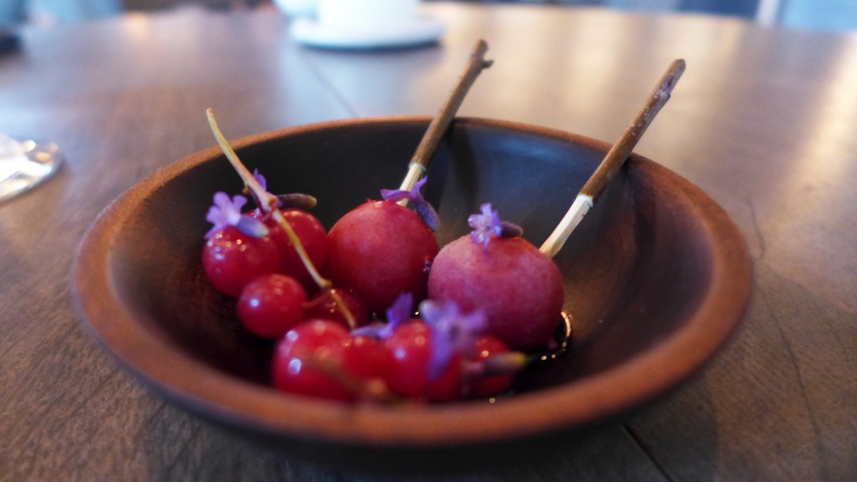 Fermented gooseberries and red currants