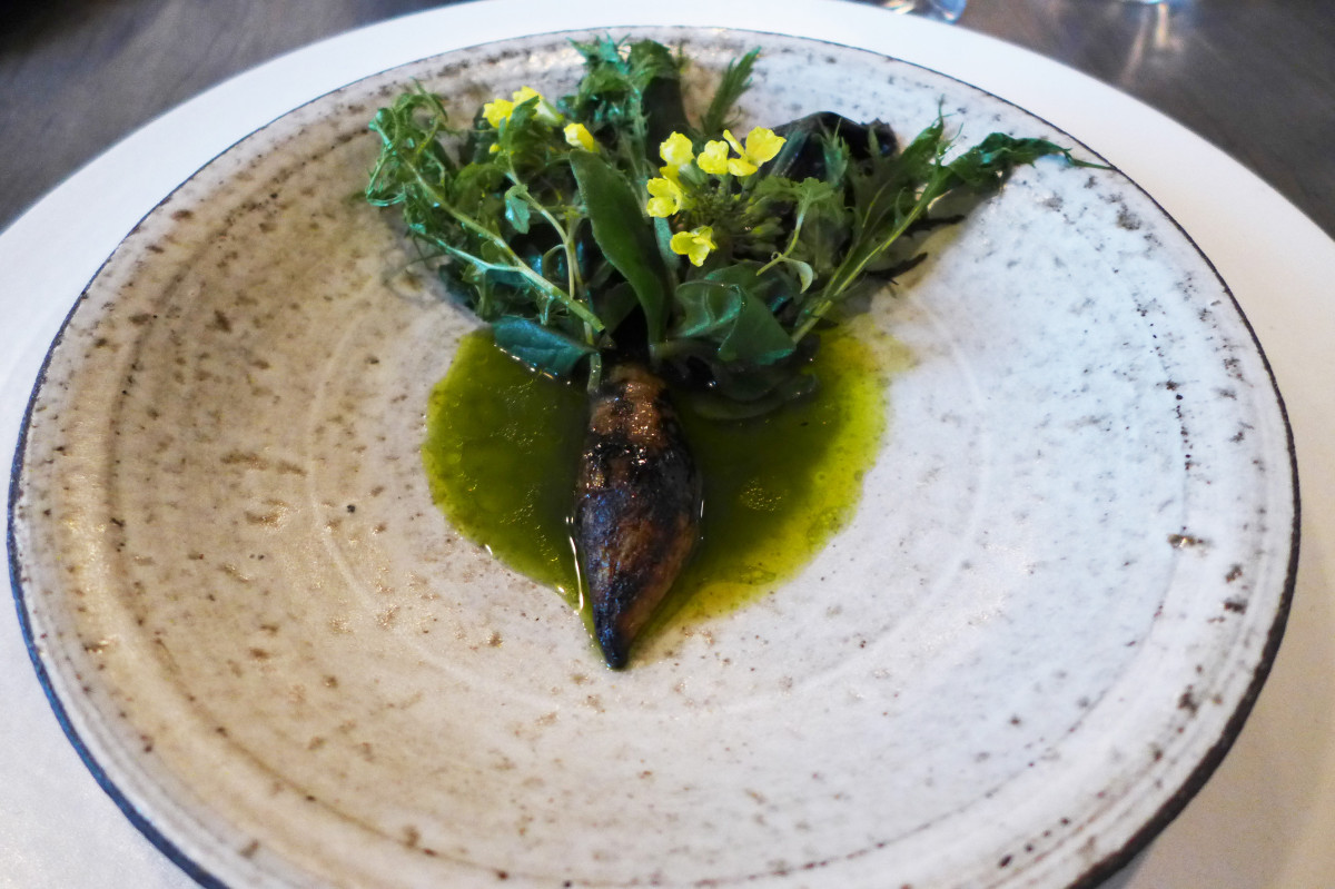 Salad root, fresh walnut and orpine