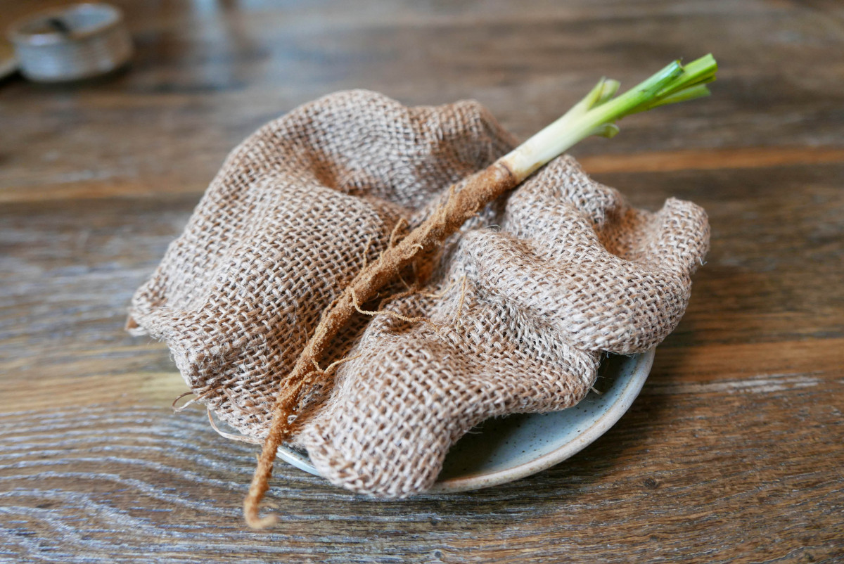 Salsify dipped in "Wostyn" powder