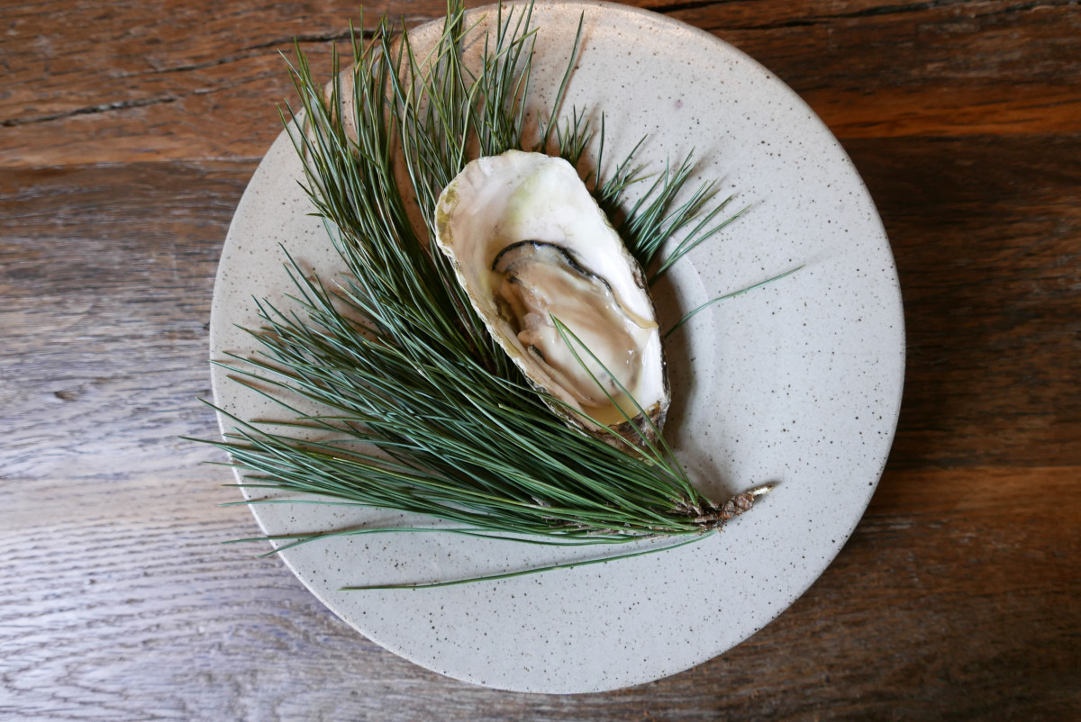Oyster from Grevelingen, smoked over pine