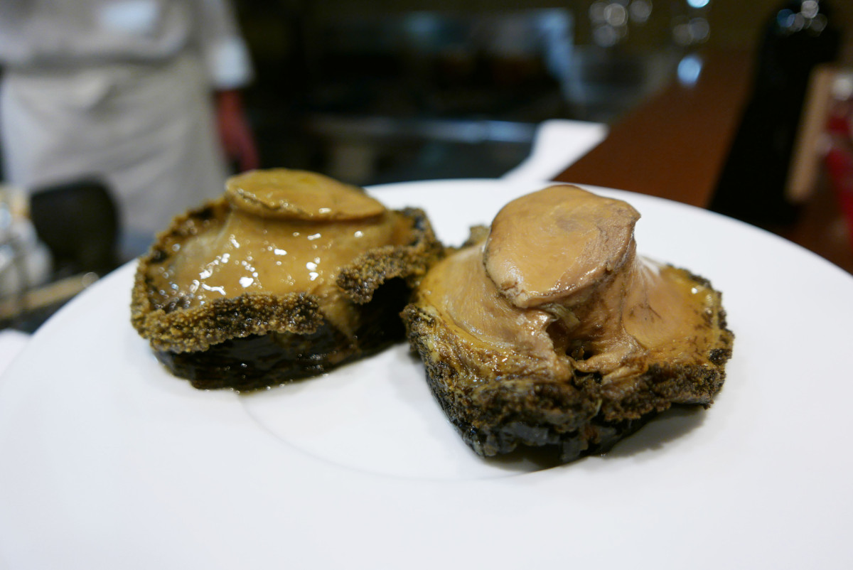 50 year old abalone