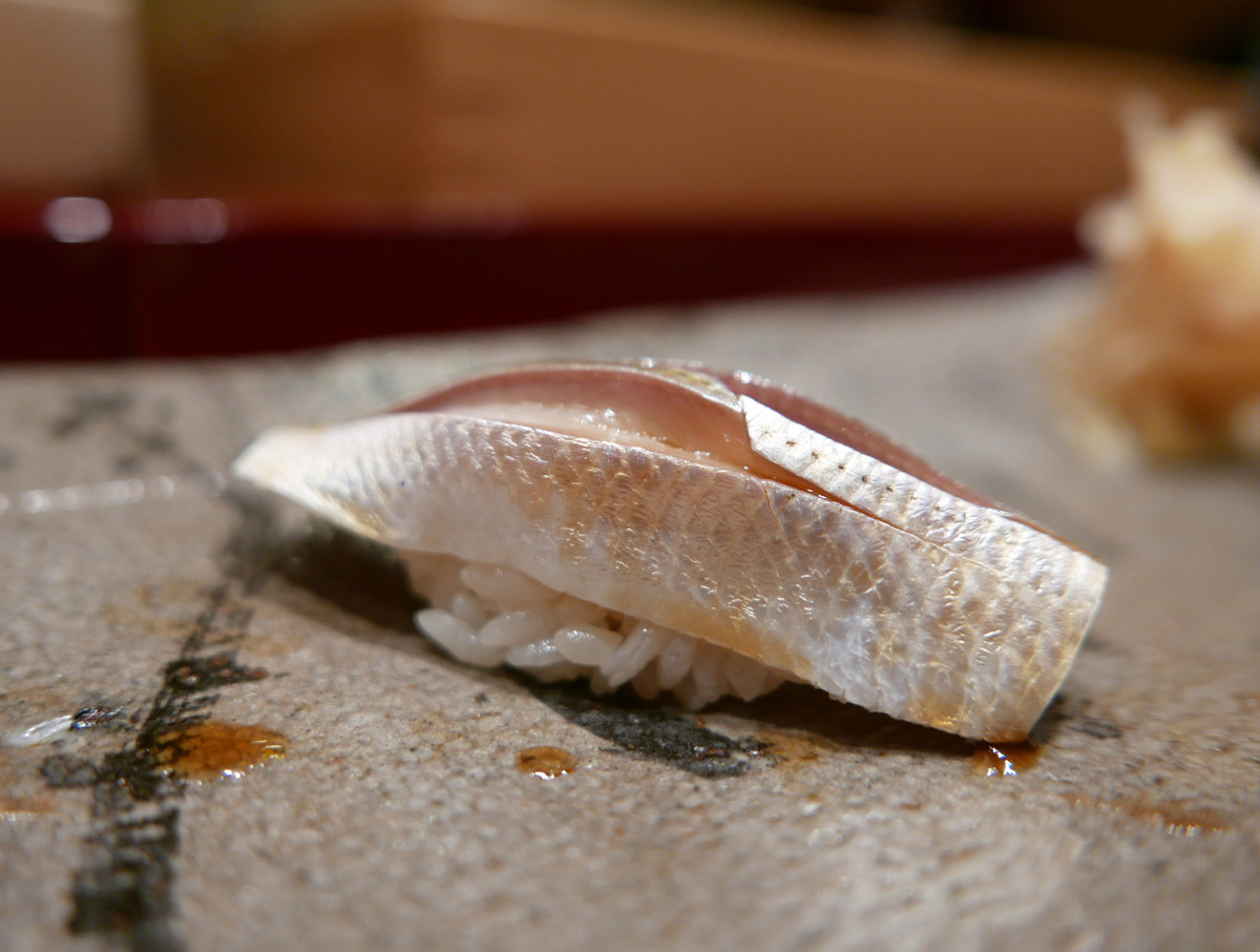 Kohada (Gizzard shad)