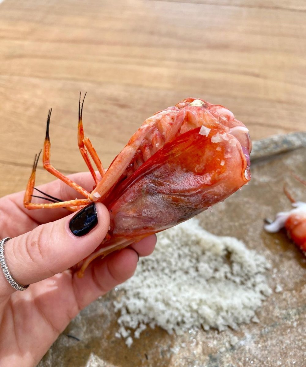 Gamba roja from Roses