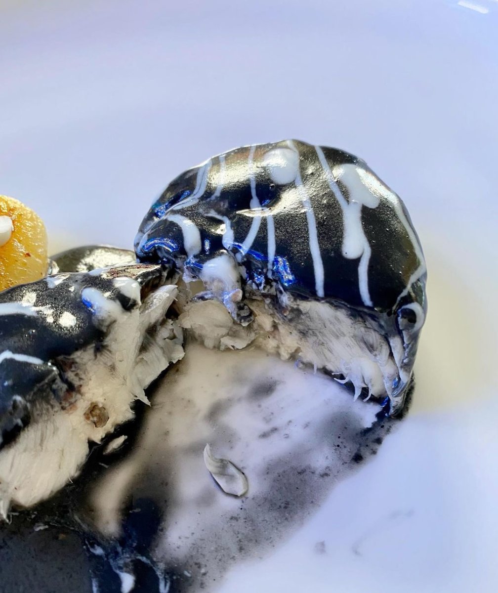 Cornish brill, Jerusalem artichoke and black truffle