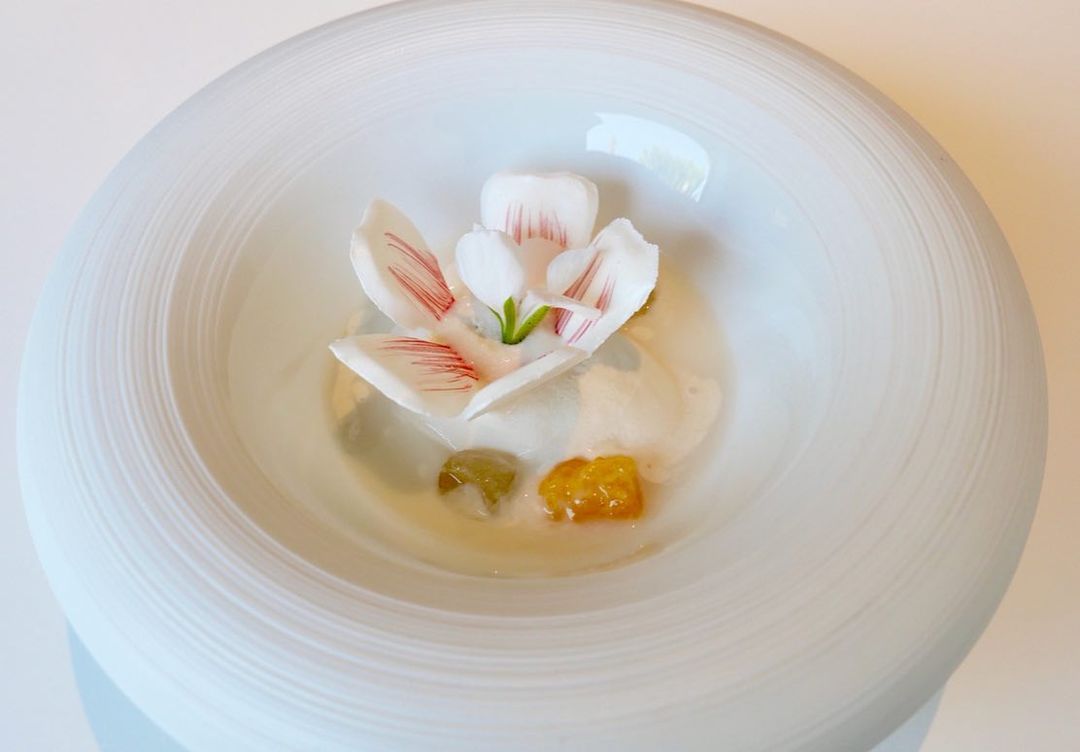 "Soup" of white petals