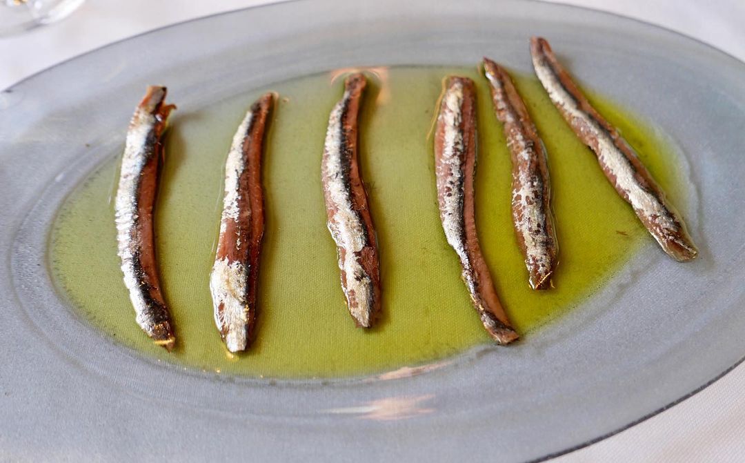 Anchovies