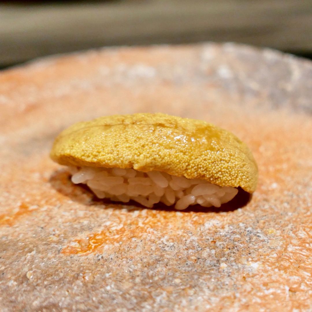 Santa Barbara sea urchin has been preserved in sea water