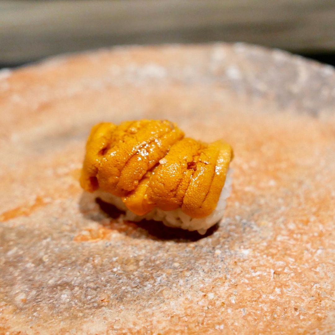 Sea urchin from Maine