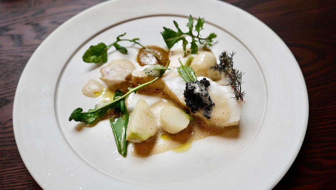 Turbot from Olonne and turnip with mussles emulsion and Rancio vinegar sauce