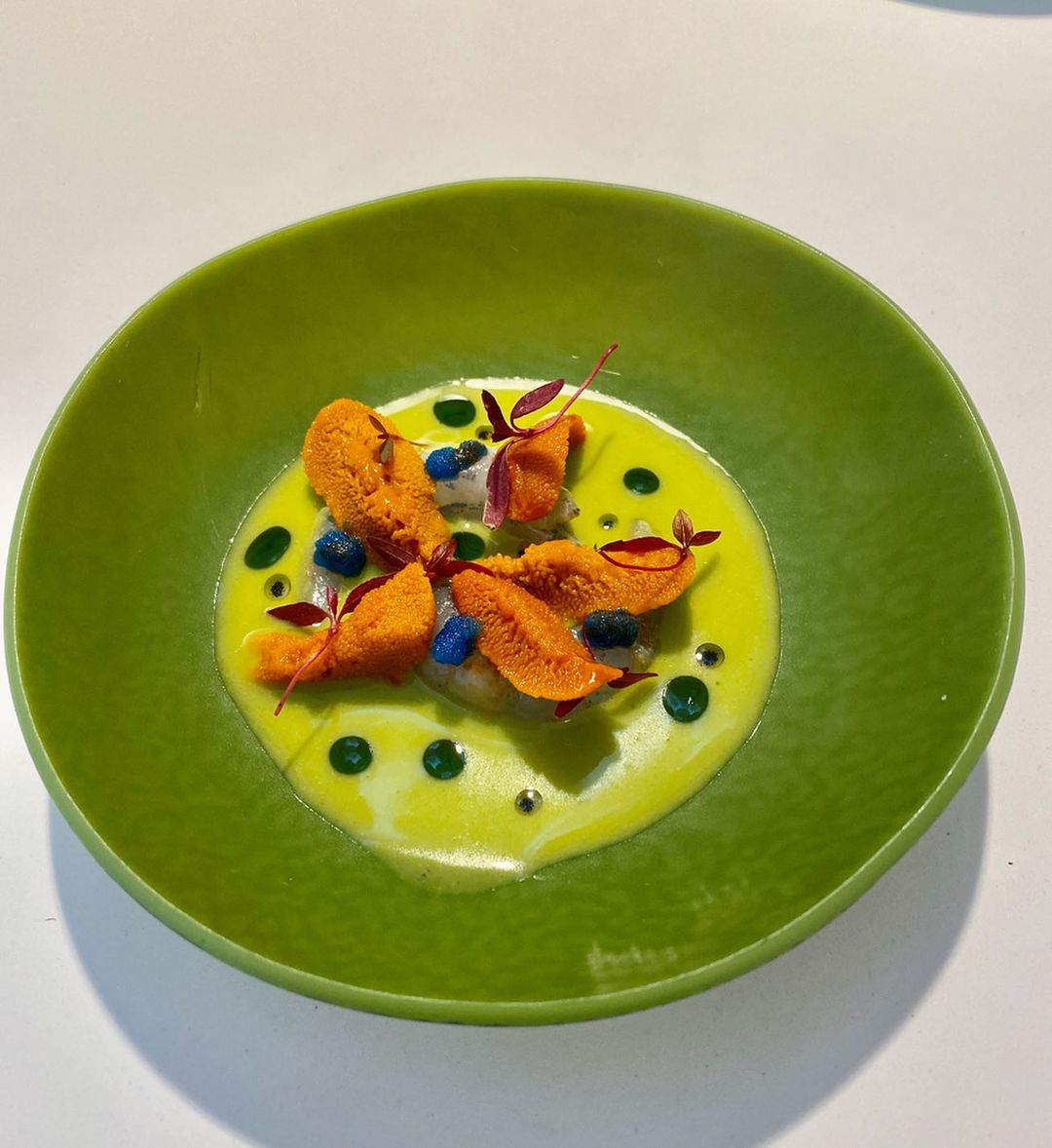 Japapeño chilli gazpacho with "quisquillas de motril", sea urchin, vanille oil and coconut