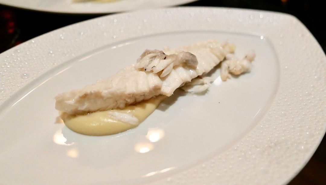 Turbot