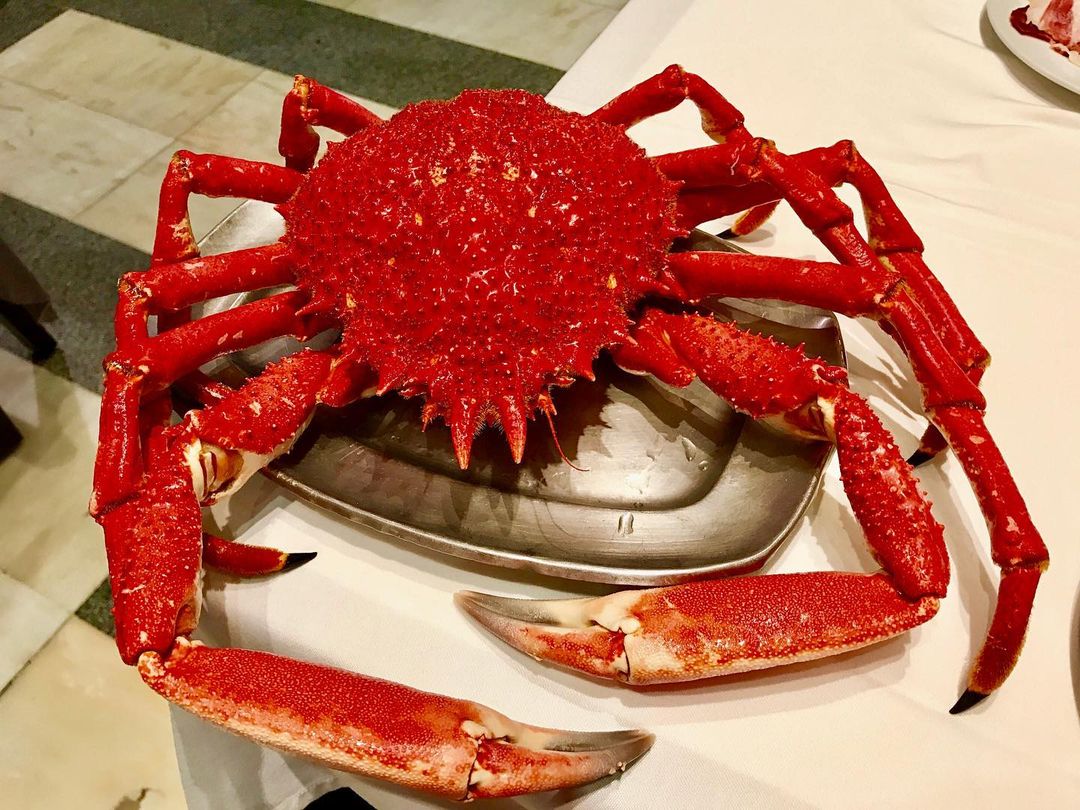 Crab