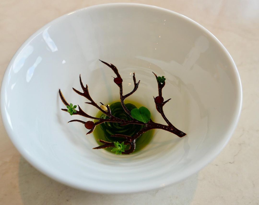 "The Forest" wood sorrel&woodruff