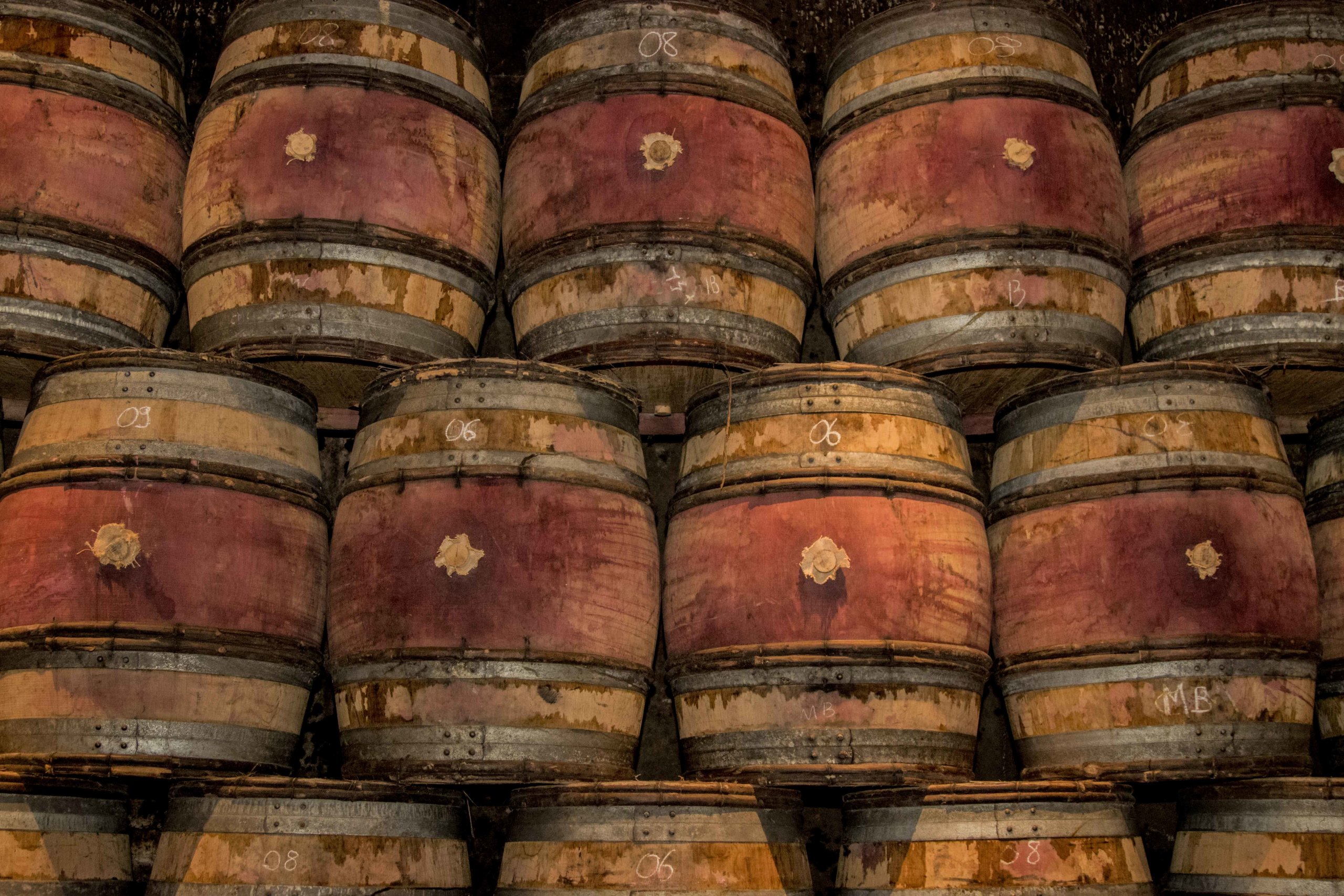 Barrels in the Roumier cellar