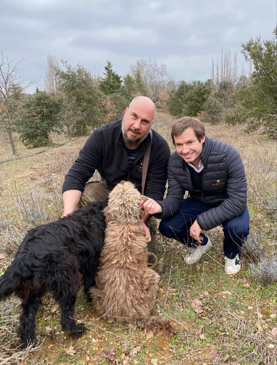 Truffle hunting with Christopher and Plantin farmer