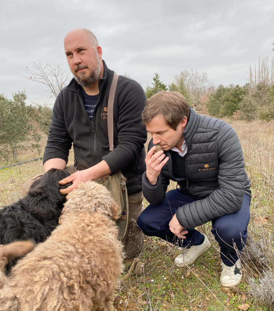 Truffle hunting with Christopher and Plantin farmer