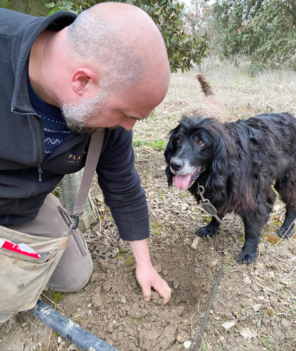 Truffle hunting