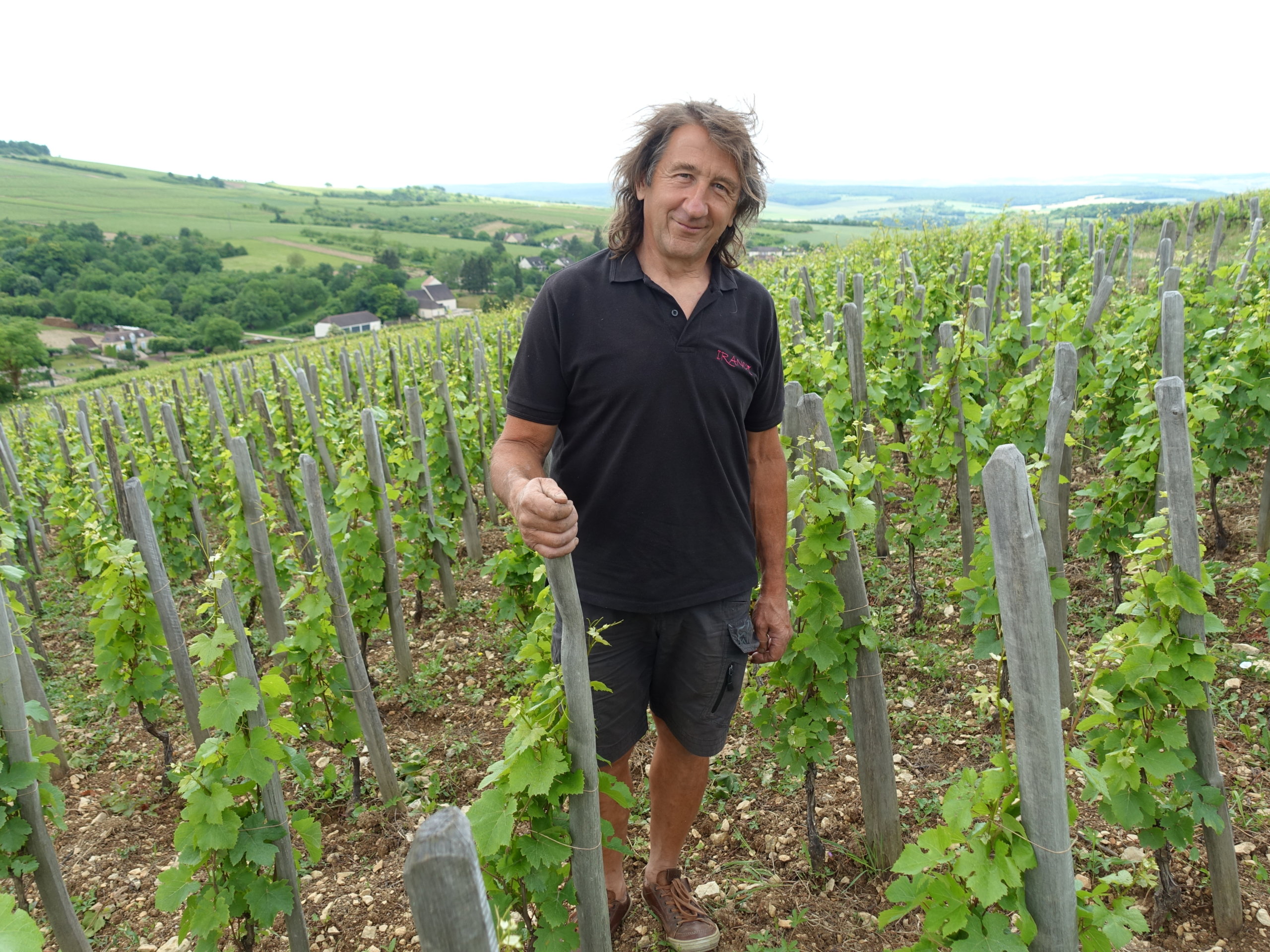 Thierry Richoux in his Irancy vineyards