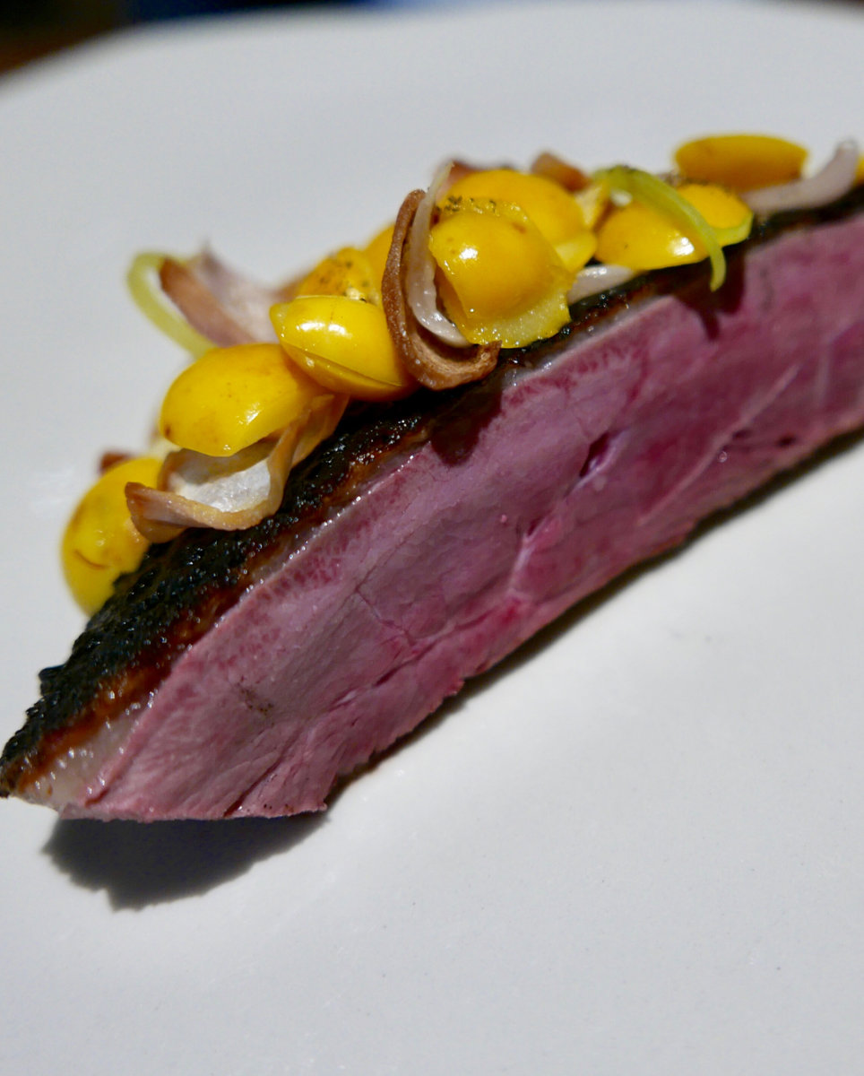 Duck, black recado, nance, Ixil onions