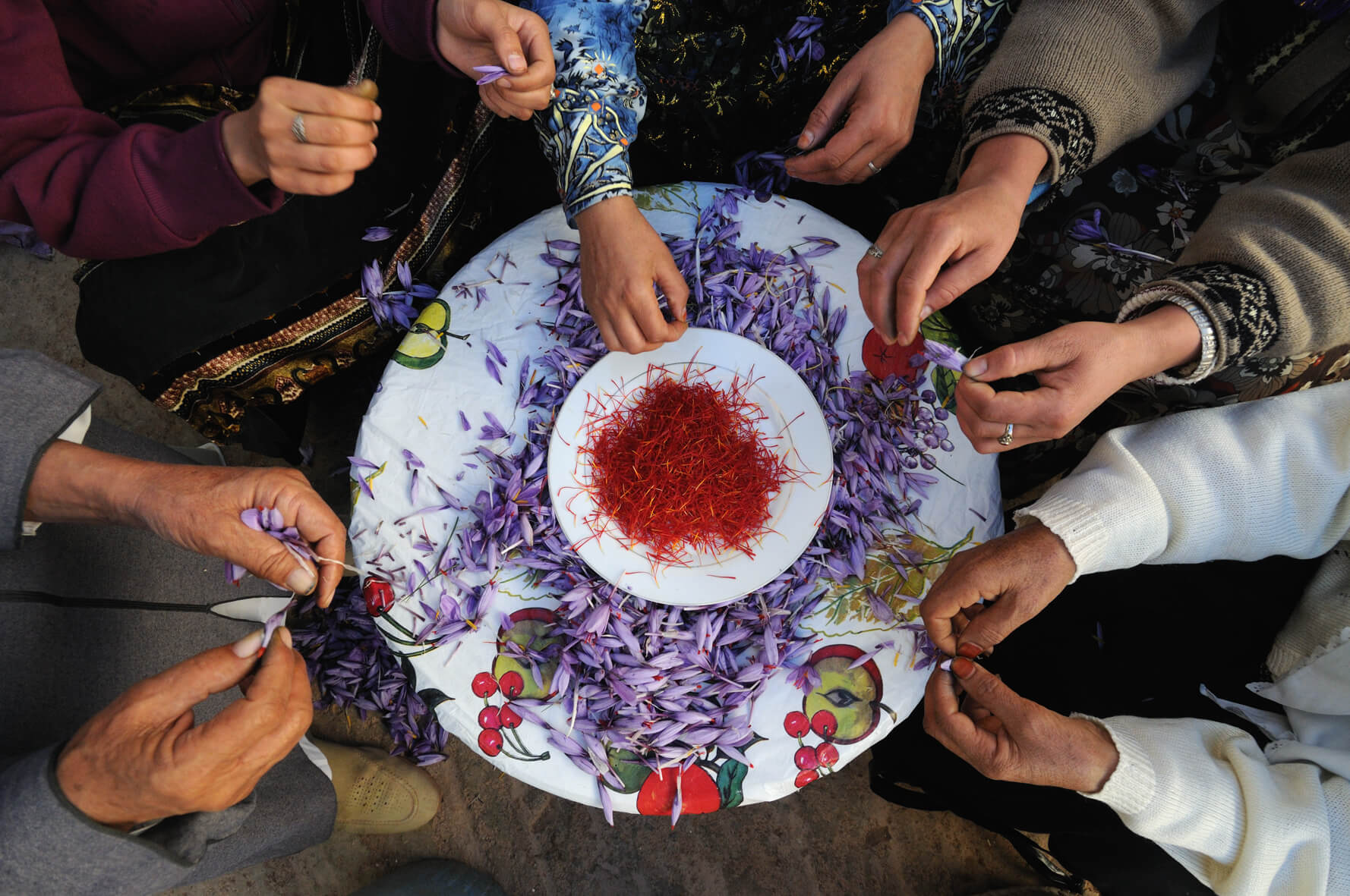 Taliouine saffron. © Oliver Migliore