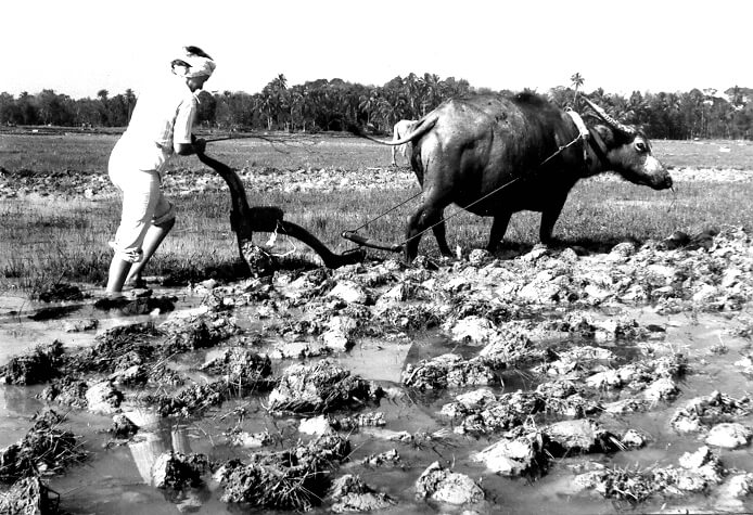 Francesca's fieldwork in Malaysia in 1976