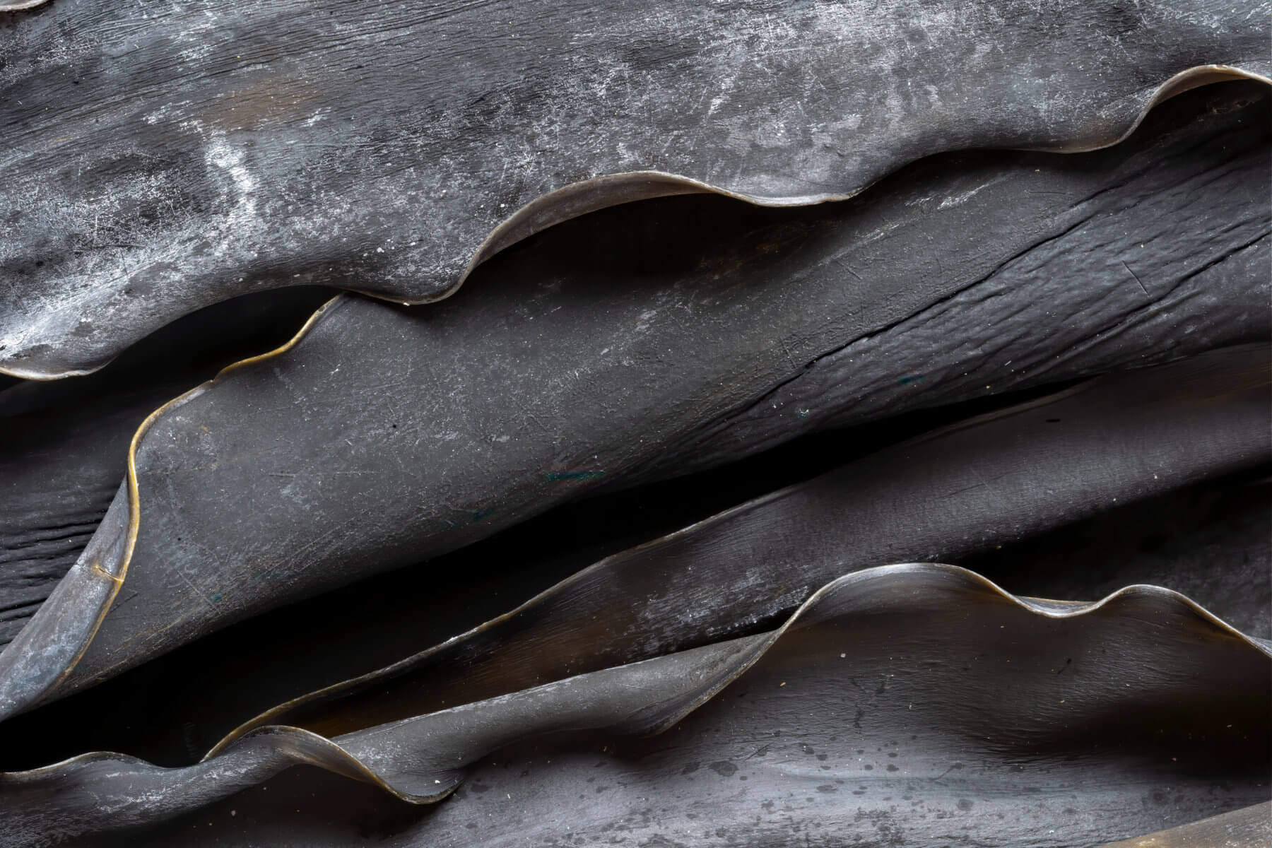 Japanese dried kelp (kombu)