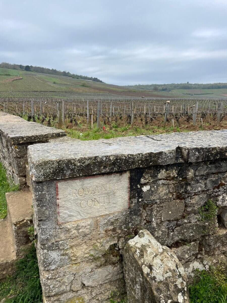 Romanee Conti vineyard